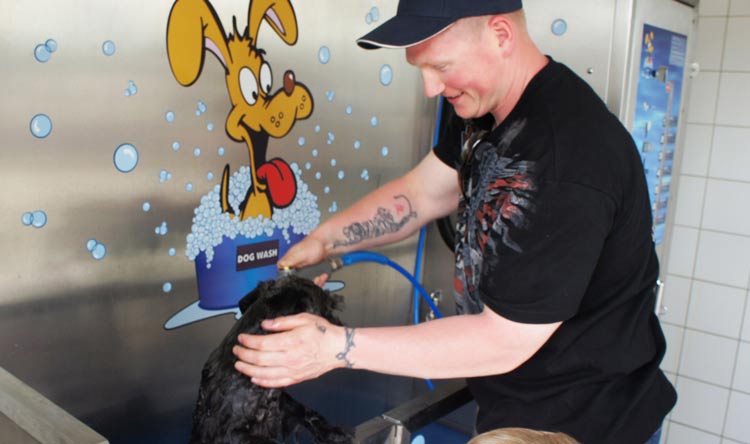 Dogwash.jpg